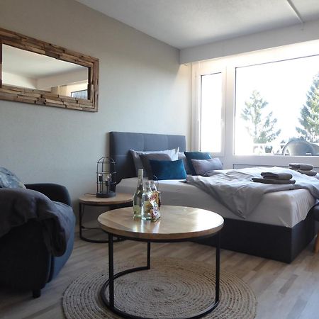 Mountain Suite Winterberg Pool Sauna Hund 4 Pers Wifi Near Bikepark Екстер'єр фото