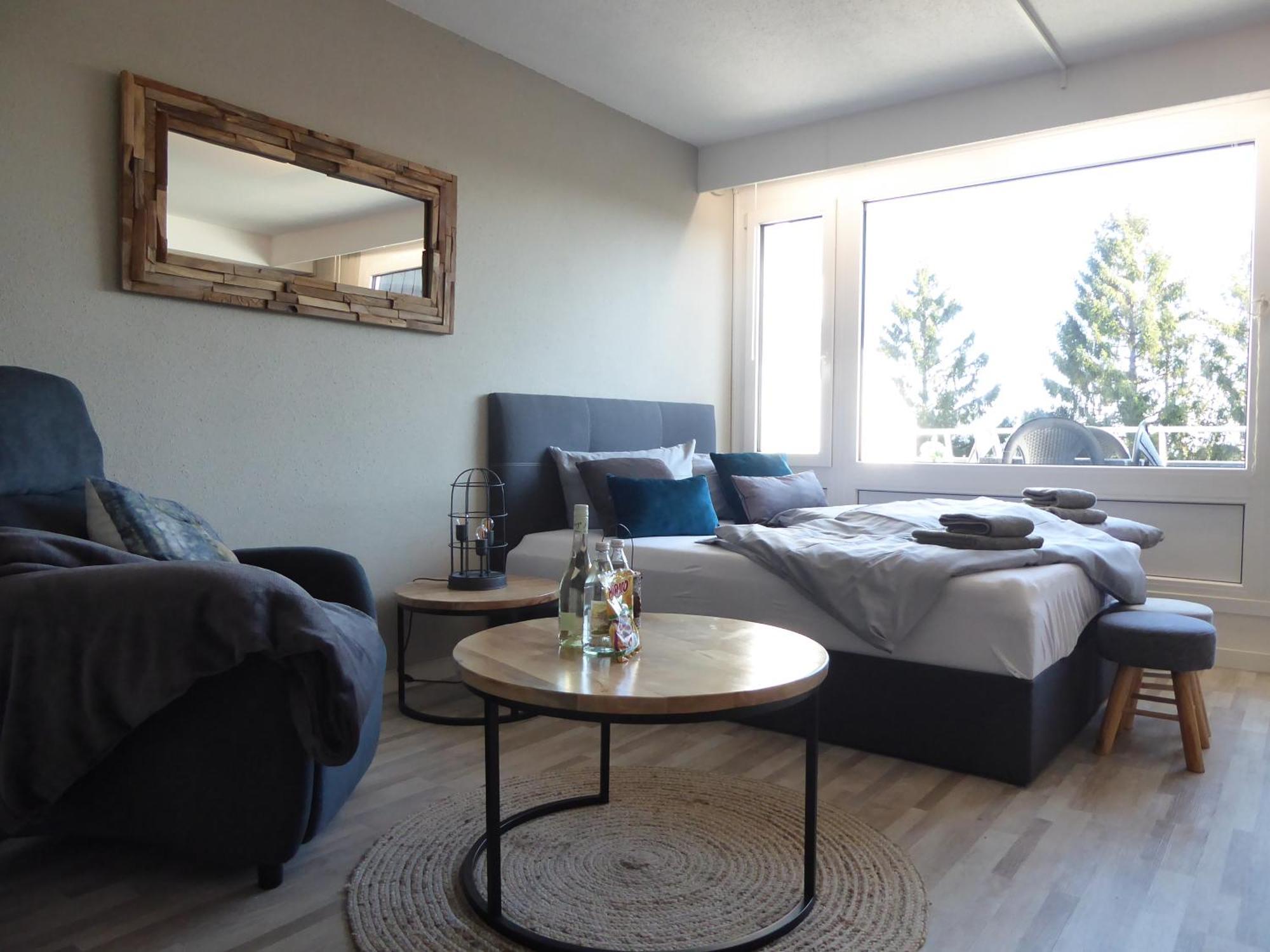 Mountain Suite Winterberg Pool Sauna Hund 4 Pers Wifi Near Bikepark Екстер'єр фото