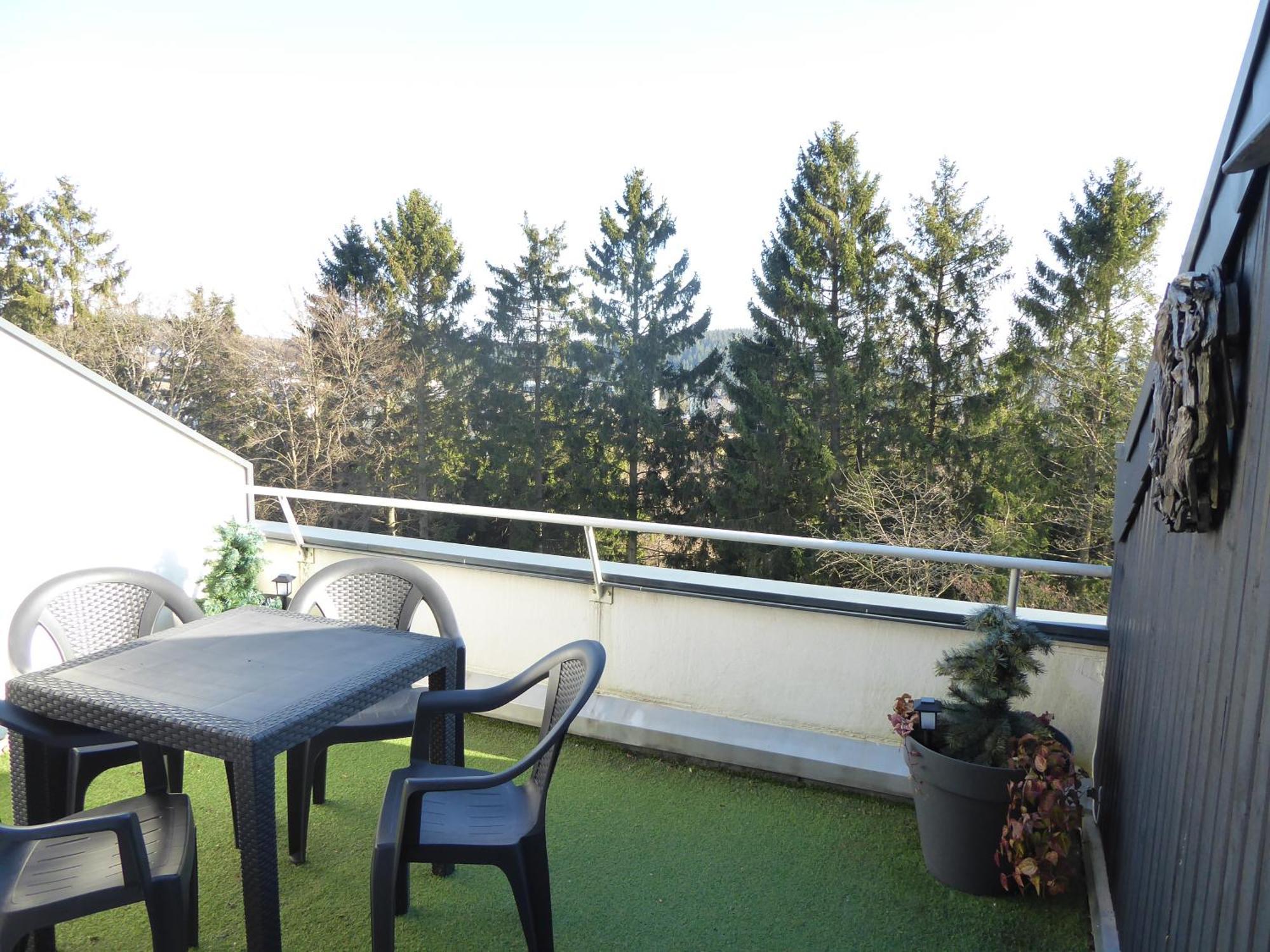 Mountain Suite Winterberg Pool Sauna Hund 4 Pers Wifi Near Bikepark Екстер'єр фото